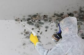 Best Forensic Mold Investigation  in Reedurban, OH